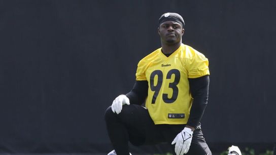 Steelers' Teryl Austin With Seriously Demoralizing News About Mark Robinson  (Mark Robinson)